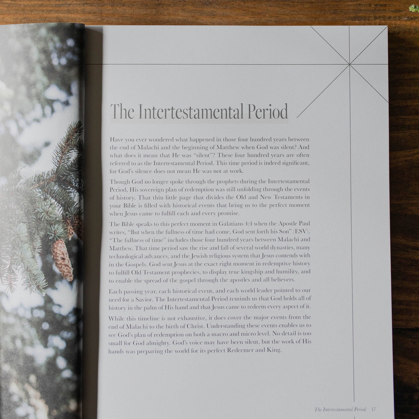 Just as He Promised | Advent Bible Study