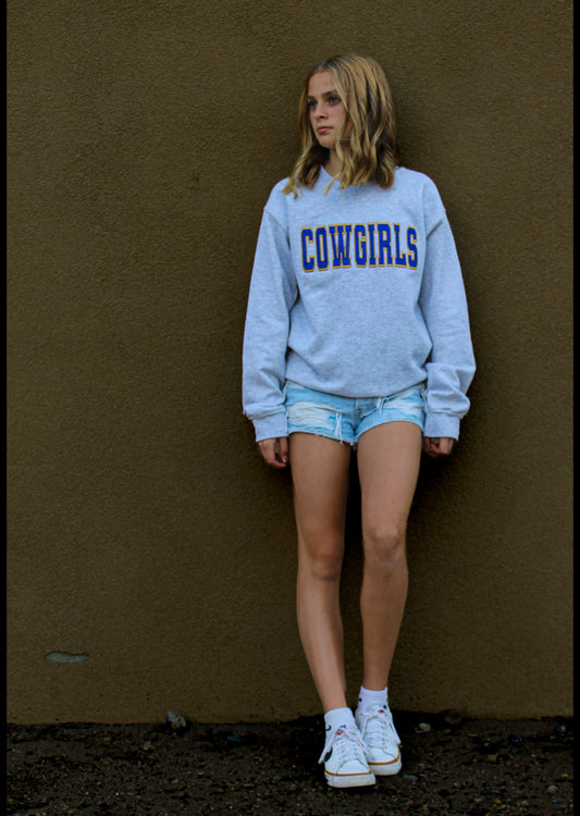 School Spirit Glitter Embroidered CrewNeck